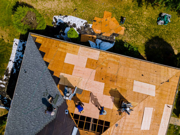 Best Roof Gutter Cleaning  in Keshena, WI