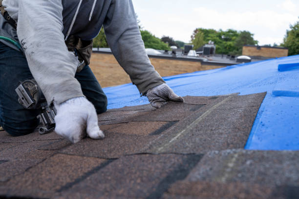 Best Shingle Roofing Installation  in Keshena, WI